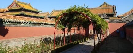 Одно из популярных направлений использования бизнес-карты UnionPay от Россельхозбанка — страны Азии