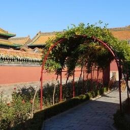 Одно из популярных направлений использования бизнес-карты UnionPay от Россельхозбанка — страны Азии