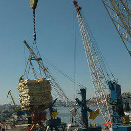 Лососевая путина 2009. Рыба доставлена в порт Владивостока