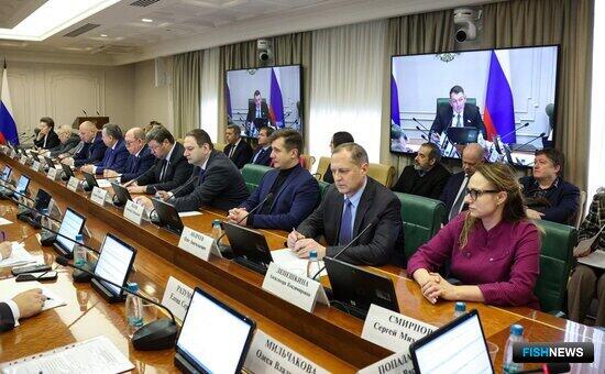 Сенаторам рассказали о подходах при создании ДРУК