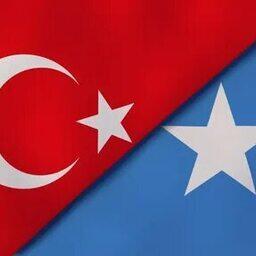 Турция и Сомали заключили стратегическое соглашение по развитию рыболовной отрасли африканской страны