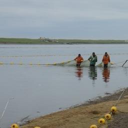 Власти Камчатского края продолжают работу по обновлению перечня рыболовных участков для промышленной добычи