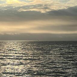 Доли квот для промысла остались в резерве