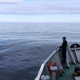 Исследования выполнялись на обширной акватории в экономзонах России и Норвегии, а также в открытой части Баренцева моря. Фото пресс-службы ПИНРО