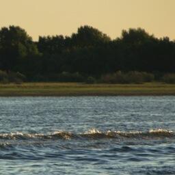 Волга в районе Астрахани. Архивное фото