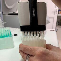 Исследования ведутся в лаборатории микробиологии, паразитологии и генетики СахНИРО. Фото пресс-службы филиала