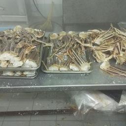 В Находке пограничники выявили очередной нелегальный цех по переработке краба, изъято более 1,6 тонны морепродукта. Фото пресс-группы Пограничного управления ФСБ России по Приморскому краю