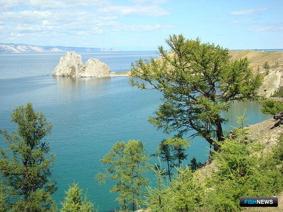 Остров Ольхон на Байкале. Фото: Аркадий Зарубин, Википедия