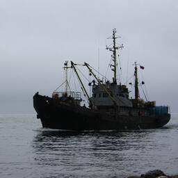 Поправками парламентарии рассчитывают снять вопрос, с которыми «прибрежники» столкнулись при экспорте продукции с береговых заводов