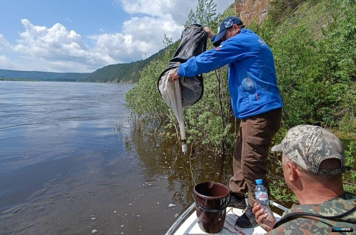 Рыбалка на леня. Рыбное хозяйство. Байкал в июле. Мониторинг воды. На берегу Байкала.