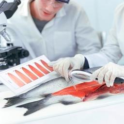 «Нерей» проверяет рыбу в собственной лаборатории