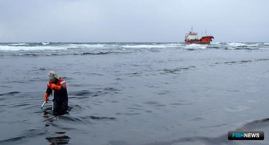 Ученые провели первое обследование побережья в месте аварии «Надежды». Фото пресс-службы СахНИРО