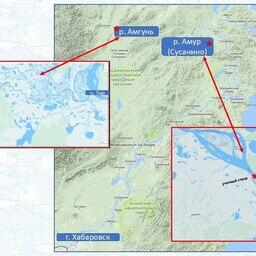 В этом году работы были организованы на двух контрольных участках: в русле Амура в районе поселка Сусанино и на реке Амгунь. Изображение предоставлено пресс-службой ВНИРО