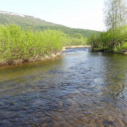 Река Магаданка, на которой расположен один из предлагаемых участков. Фото с сайта rutraveller.ru