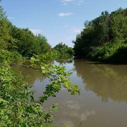 Река Мёша. Фото ivanovichzr («Википедия»)