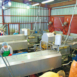 В сахалинском ООО «Антрацит» работают уже три линии непрерывной переработки лососевых NAG-501 