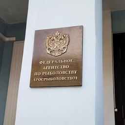 Здание Росрыболовства в Москве