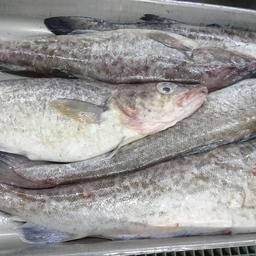 В постановления правительства внесут изменения по термину «рыбная продукция»