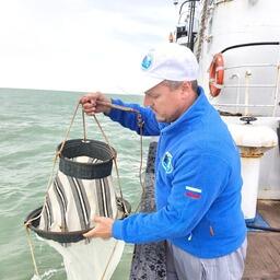 Сотрудники Волжско-Каспийского филиала ВНИРО изучили состояние биоресурсов на Северном Каспии. Фото пресс-службы филиала