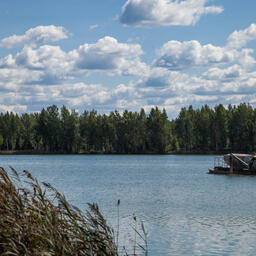 Кормление рыбы в Клинском рыбхозе