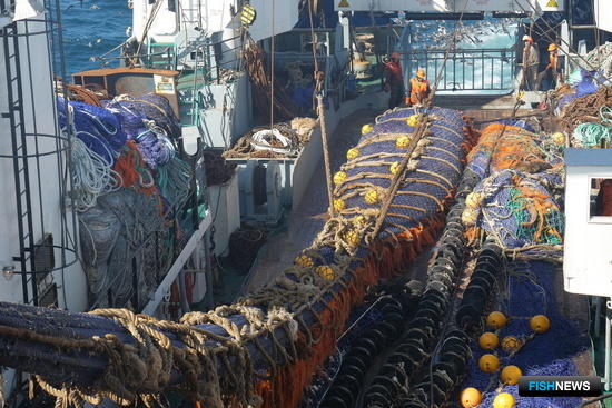 Добыча кальмара. Рыболовное судно «Московская Олимпиада». Фото предоставлено пресс-службой компании