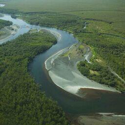 Аэрофотосъемка реки Тогиак. Фото Hillebrand Steve («Википедия»)