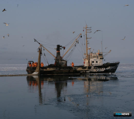 Маломерный флот используется, в частности, на промысле наваги у берегов Сахалина