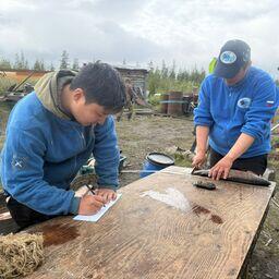 Работа с научным уловом. Фото пресс-службы ЯкутскНИРО