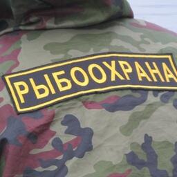 В Курганской области в связи с периодом промысла артемии на стадии цист стартовала профилактическая операция «Артемия»