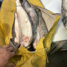 Со склада воровали, в частности, омуля в брикетах. Фото пресс-службы МВД по Республике Саха (Якутия)