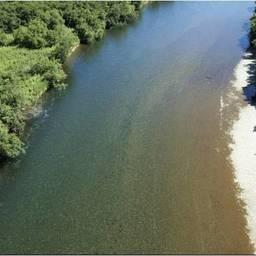 Преднерестовая миграция кеты в нижнем течении реки Быстрая (бассейн реки Большая). Фото пресс-службы КамчатНИРО