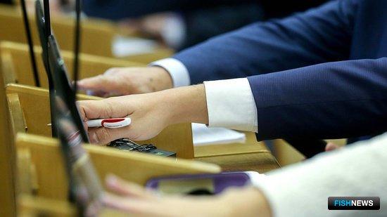 Госдума проголосовала за резонансные изменения закона. Фото пресс-службы ГД