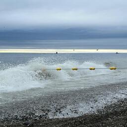 Лососевая путина — знаковый период для рыбной промышленности