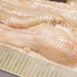 Предприятия Северного бассейна получили объемы для вылова рыбы в 2026 году