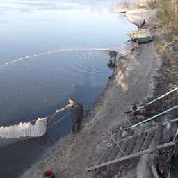 Замет мальковой волокуши в реке Северский Донец (город Каменск-Шахтинский). Фото пресс-службы АзНИИРХ