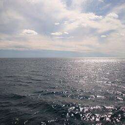 По шести лотам заявок на участие в аукционе не поступило