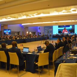 В Севилье прошла 29-я регулярная сессия Международной комиссии по сохранению атлантических тунцов (ИККАТ, ICCAT). Фото пресс-службы АтлантНИРО