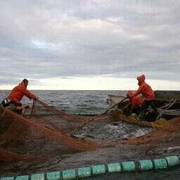 Правительство выпустило новые правила подготовки и заключения договора пользования рыболовным участком