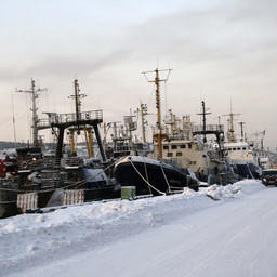Причалы Мурманского морского рыбного порта. Фото с сайта murman.ru