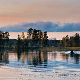 Озеро Вуокса на Карельском перешейке. Фото Dmitry A. Mottl («Википедия»)