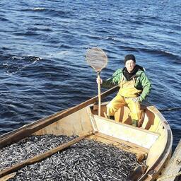 Рыбодобывающие организации Карелии открыли сезон лова европейской корюшки. Фото пресс-службы правительства республики, https://gov.karelia.ru/