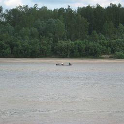 Река Чулым в Томской области. Фото Minaevka («Википедия»)