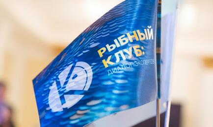 Рыбный клуб соберется на третью встречу в Москве 12 февраля. Архивное фото