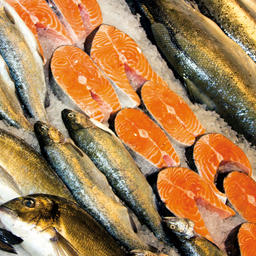 Роспотребнадзор отчитался о контроле качества и безопасности рыбы и морепродуктов