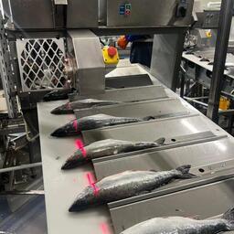 Новое оборудование помогает увеличить суточную производительность предприятия