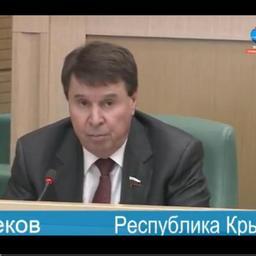 Сенатор от Республики Крым Сергей ЦЕКОВ на заседании Совфеда. Кадр прямой трансляции