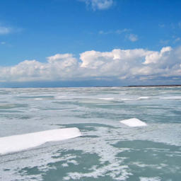 Ученые провели наблюдения за зимовкой рыб и условиями промысла на озере Чаны. Фото пресс-службы ВНИРО