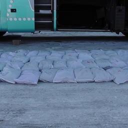 «Морской огурец» был расфасован в 48 полипропиленовых мешков общим весом около 200 кг. Фото пресс-группы Погрануправления ФСБ России по Приморскому краю
