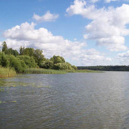 Озеро Журавлевское. Фото с сайта petergid.ru