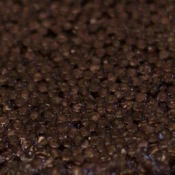 Изъято более 120 кг икры осетровых